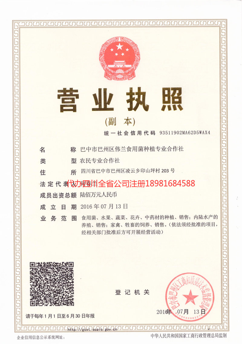 内蒙古内蒙古伟兰食用菌种植专业合作社